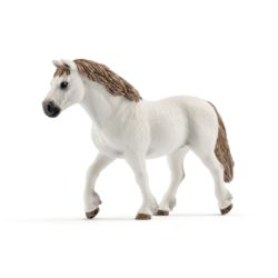 0977-13872 Welsh-Pony Stute  
