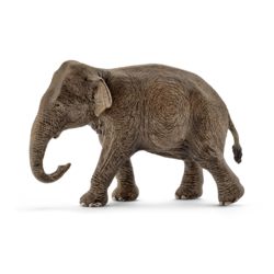 0977-14753 Asiatische Elefantenkuh  
